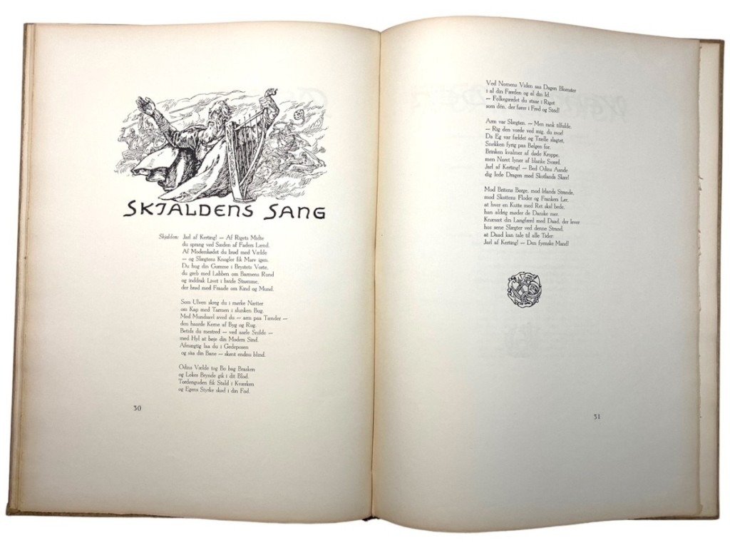 Original WWII Danish DNSAP 'Ladby-Skibet' book — image 23