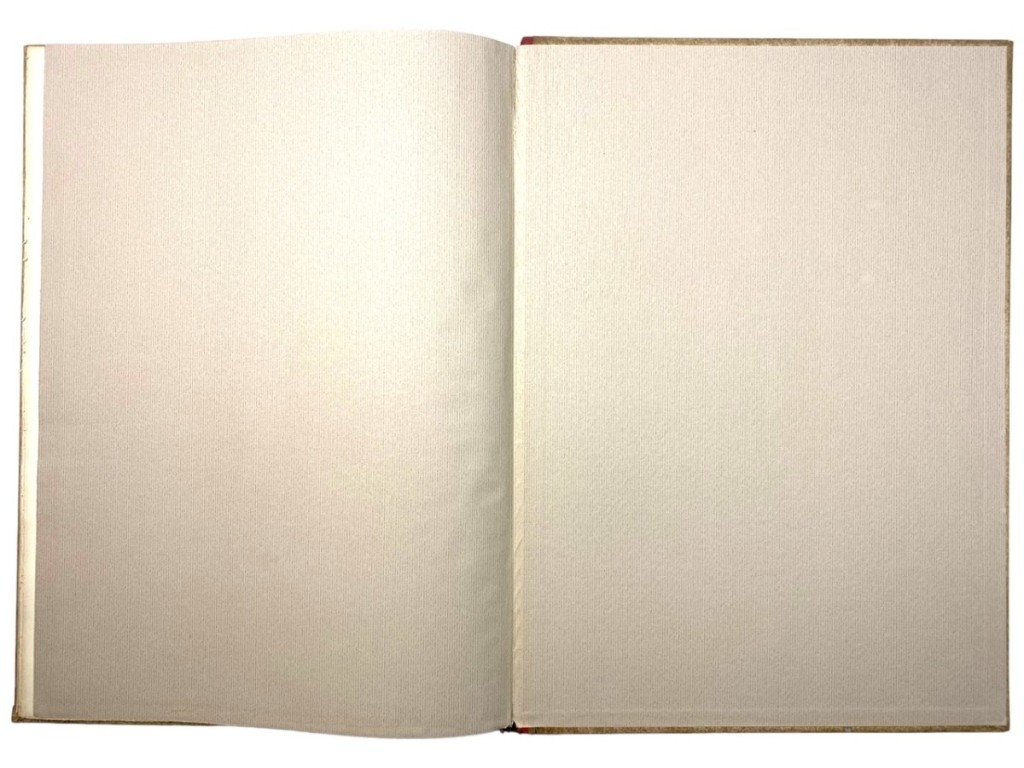 Original WWII Danish DNSAP 'Ladby-Skibet' book — image 24