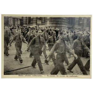 Original WWII Flemish 'Verdinaso' post card