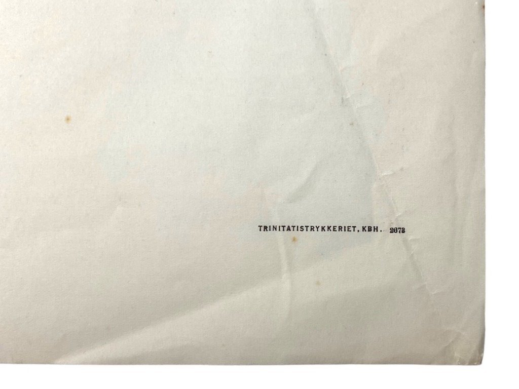 Original WWII Danish DNSAP confidential document — image 6