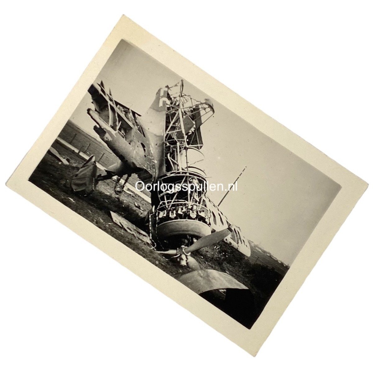Original WWII Dutch photo – Crashed Dutch Fokker airplane near Den Haag — image 2