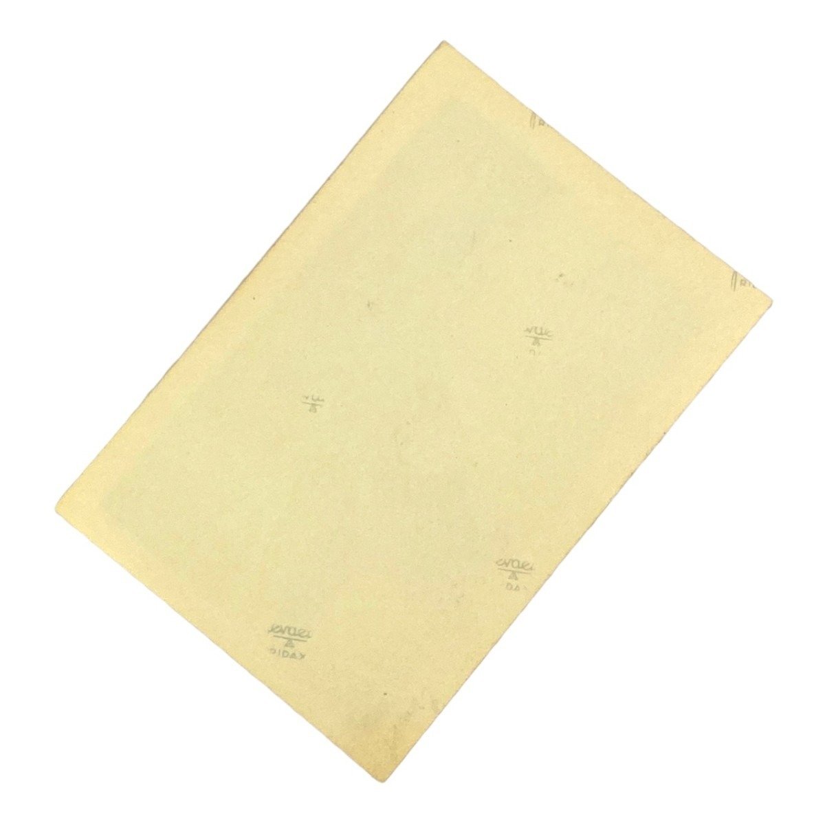 Original WWII Dutch photo – Crashed Dutch Fokker airplane near Den Haag — image 3