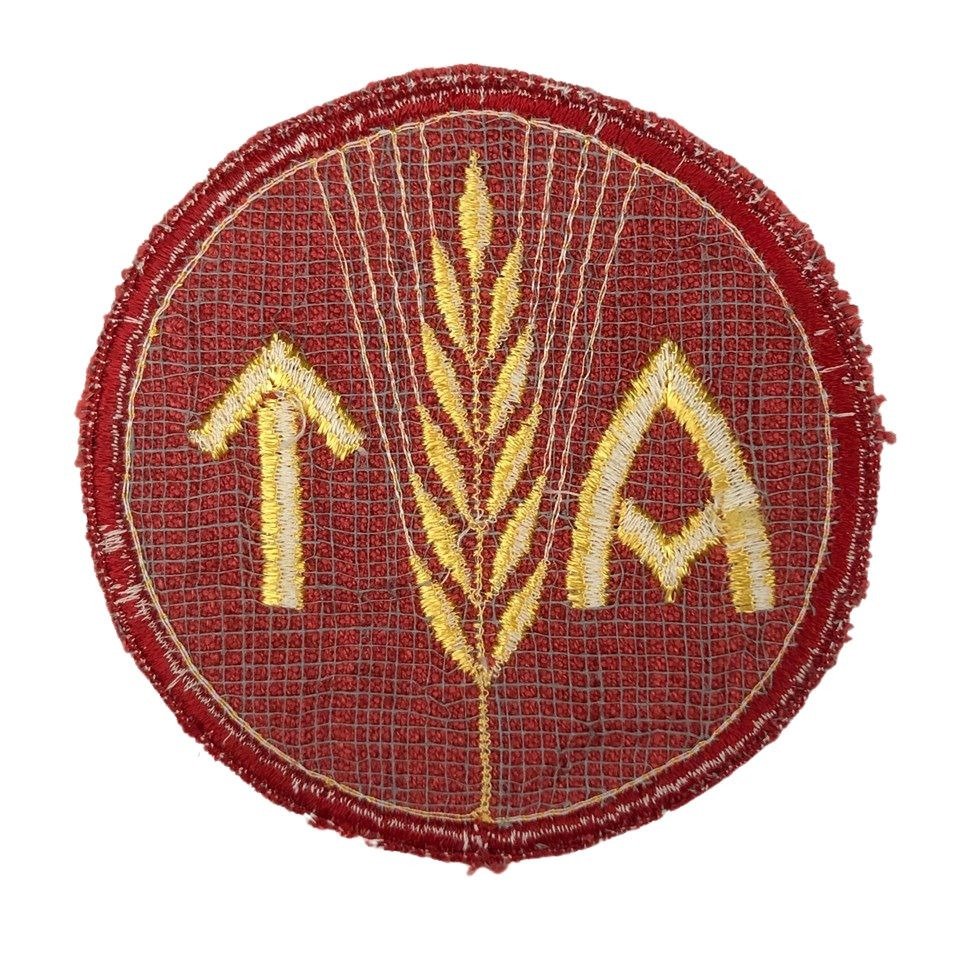 Original WWII Norwegian 'Arbeidstjeneste' female labour service insignia — image 2