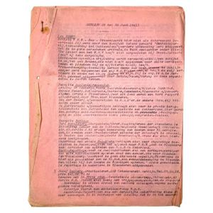 Original WWII Flemish VNV report from Berlin in June 1941
