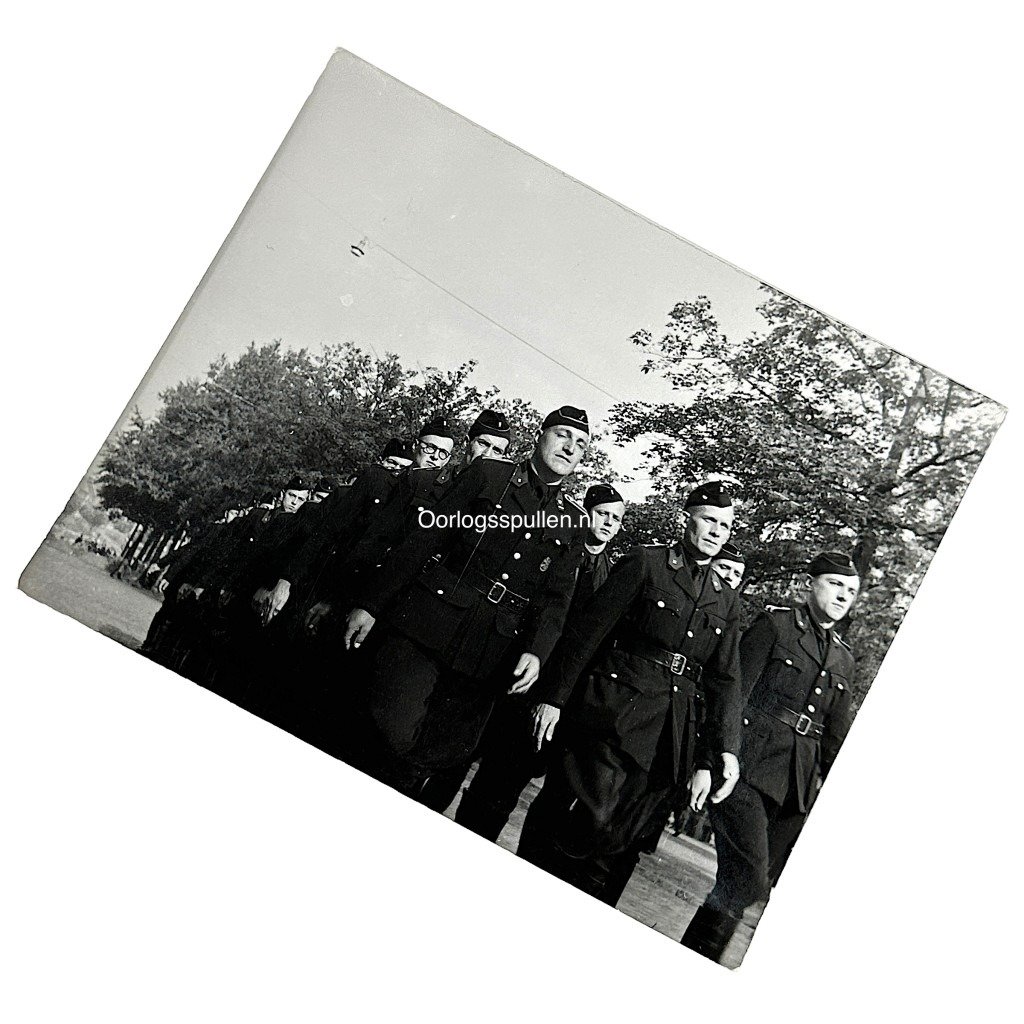 Original WWII Flemish Zwarte Brigade / Dietsche Militie photo — image 2