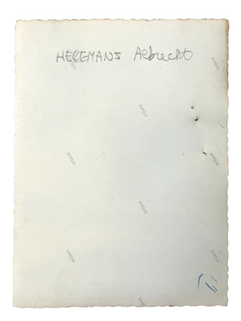 Original WWII Flemish collaboration Vlaamsche Wacht photo — image 2