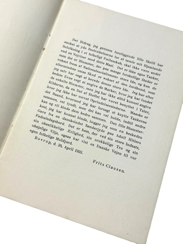 Original Early 1933 DNSAP brochure 'Slesvigske spørgsmål' — image 6