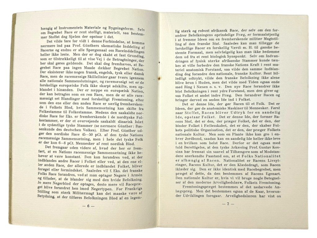 Original Early 1933 DNSAP brochure 'Slesvigske spørgsmål' — image 7