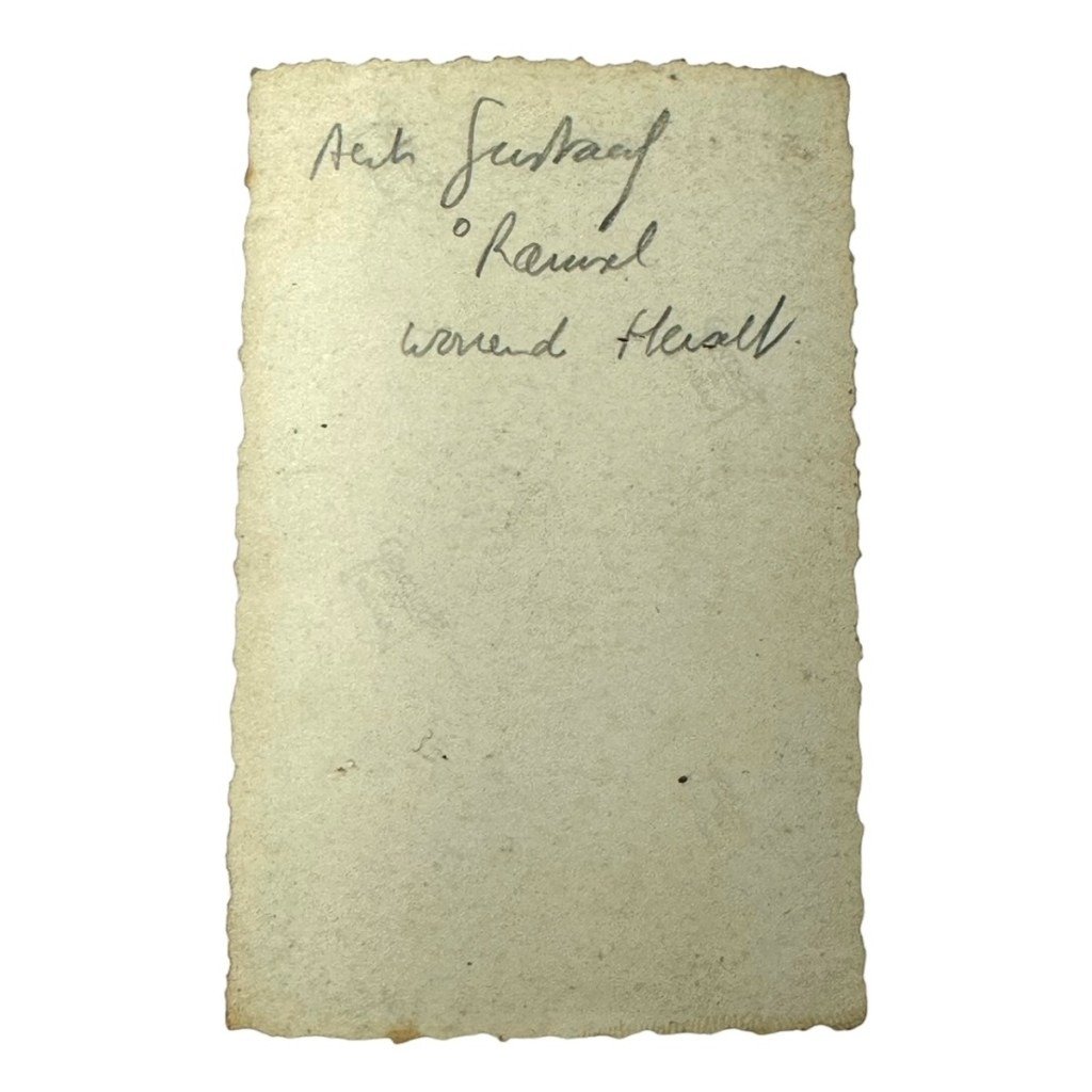 Original WWII Vlaamsche Wacht collaboration photo — image 3