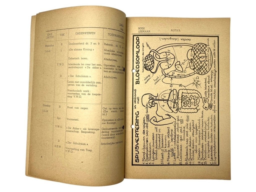 Original WWII Flemish Hitlerjeugd-Vlaanderen brochure 'Ons Kamp' — image 7