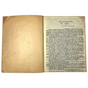 Original WWII Dutch war diary from a inhabitant of The …