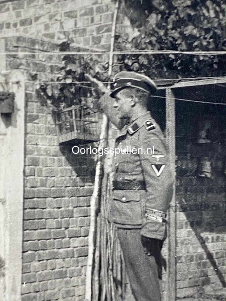 Original WWII Flemish Waffen-SS photo — image 2