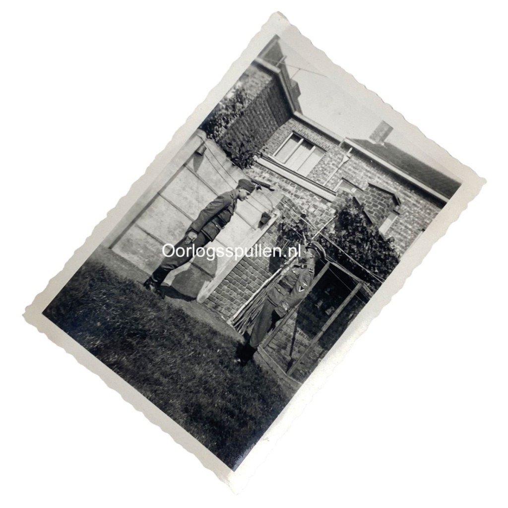 Original WWII Flemish Waffen-SS photo — image 3