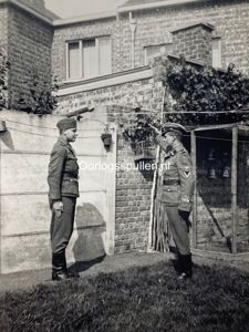 Original WWII Flemish Waffen-SS photo