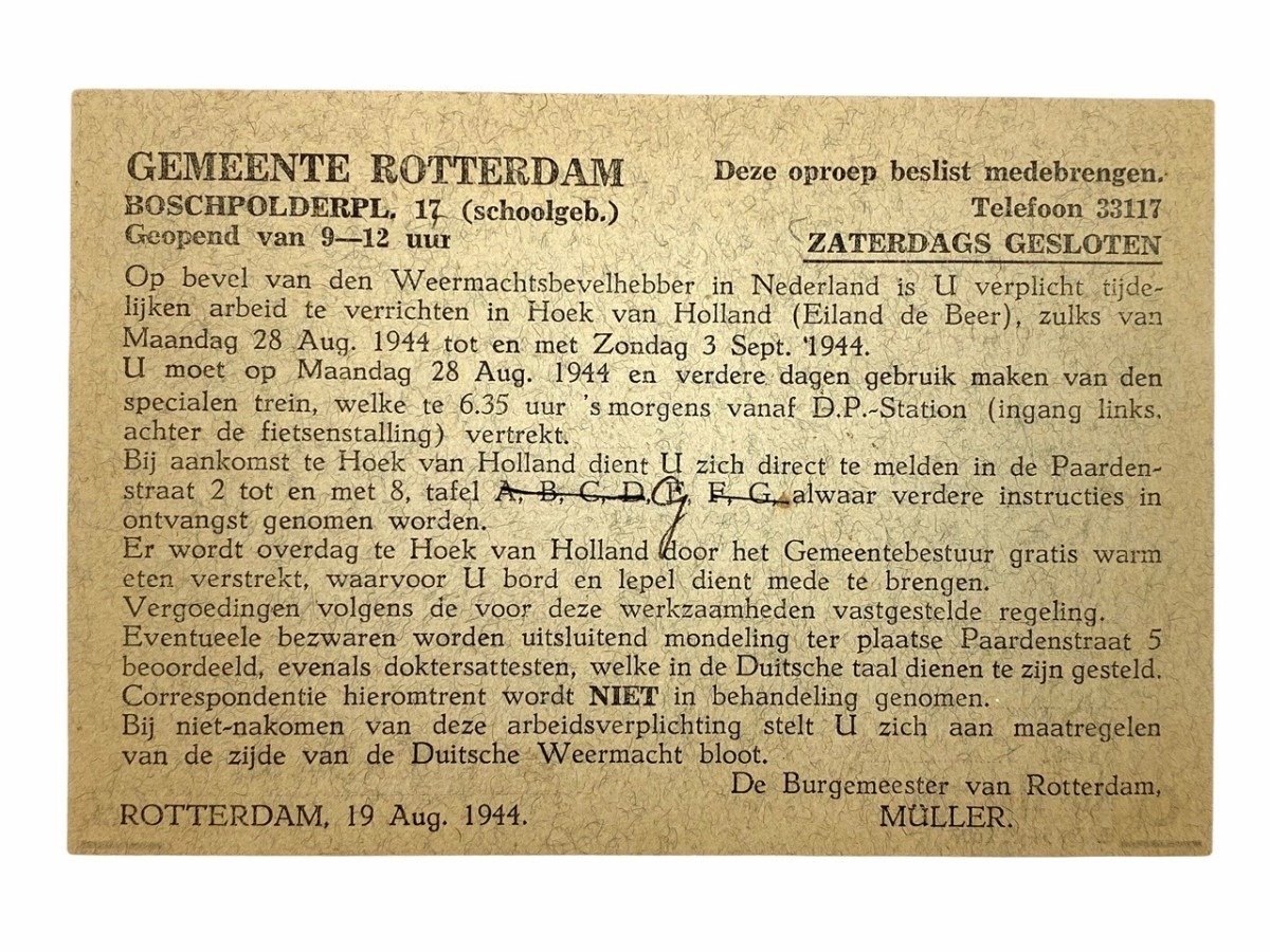 Original WWII Dutch collaboration Ausweis grouping — image 24