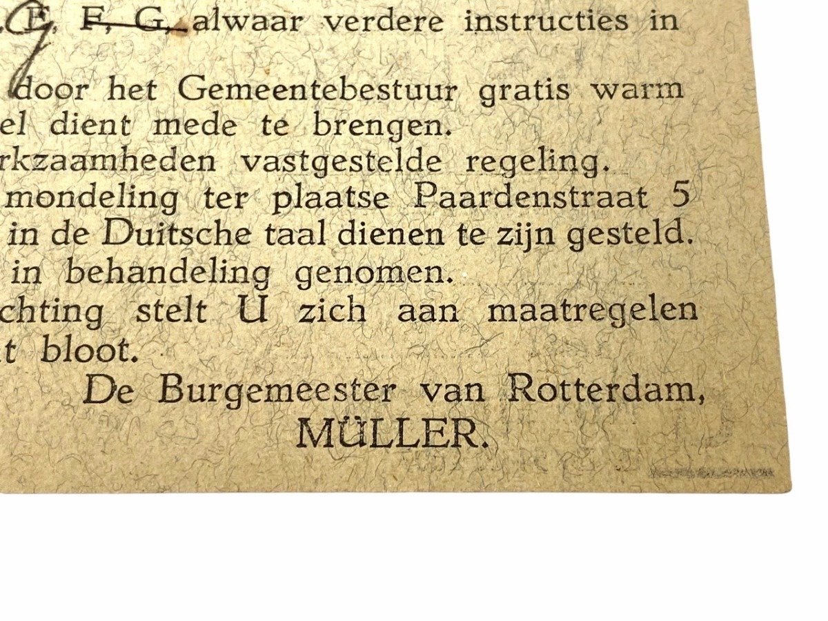 Original WWII Dutch collaboration Ausweis grouping — image 25