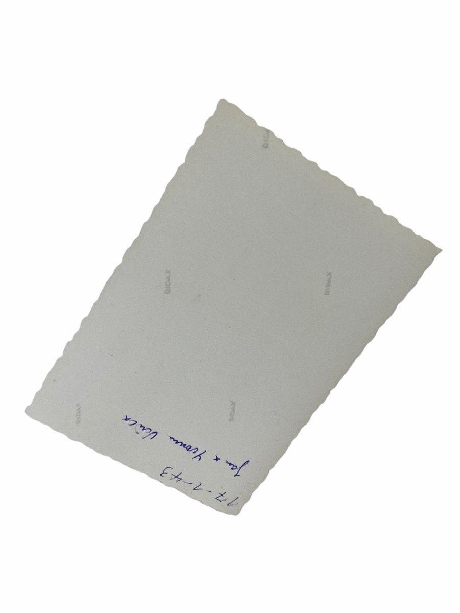 Original WWII Flemish Waffen-SS 'SS-Freiwilligen Legion Flandern' photo — image 3