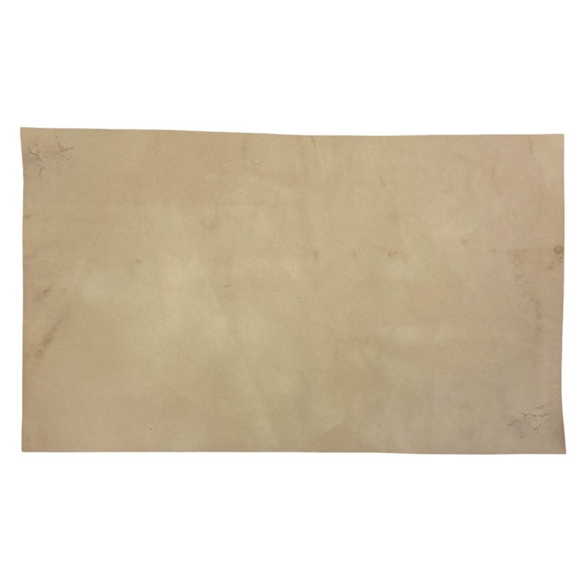 Original WWII Walloon REX placard — image 5