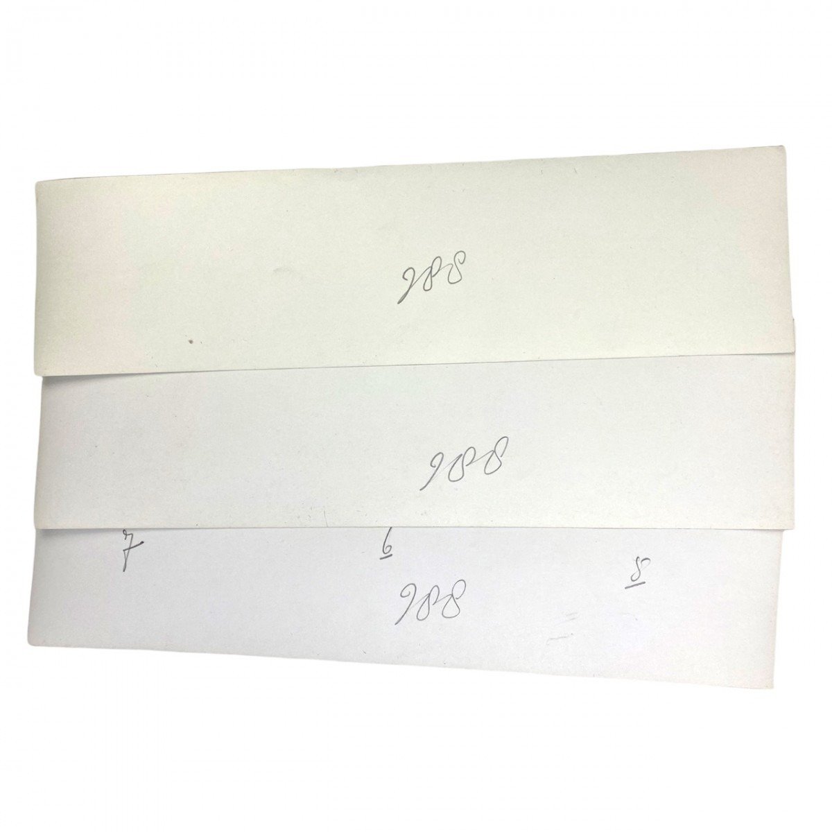 Original WWII Dutch NSB photo set – NSB meeting in Den Haag — image 14