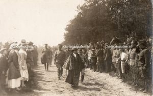 Original WWI Dutch army photo – Queen Wilhelmina visits the …