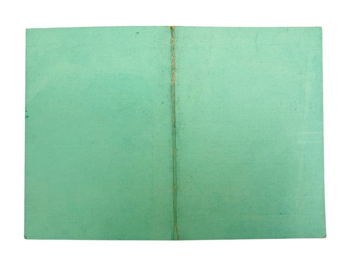 Original WWII South African fascists organization 'Ossewabrandwag' grouping J.D. Klerk — image 15