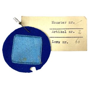 Original WWII Dutch Jeugdstorm prototype insignia