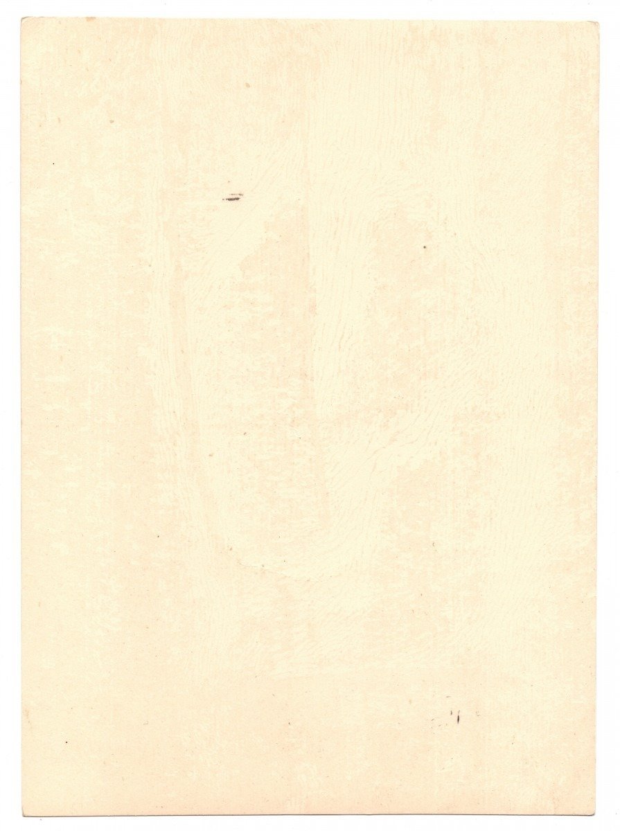 Original WWII Dutch Waffen-SS large size photo SS-Freiwilligen Legion 'Niederlande' — image 3