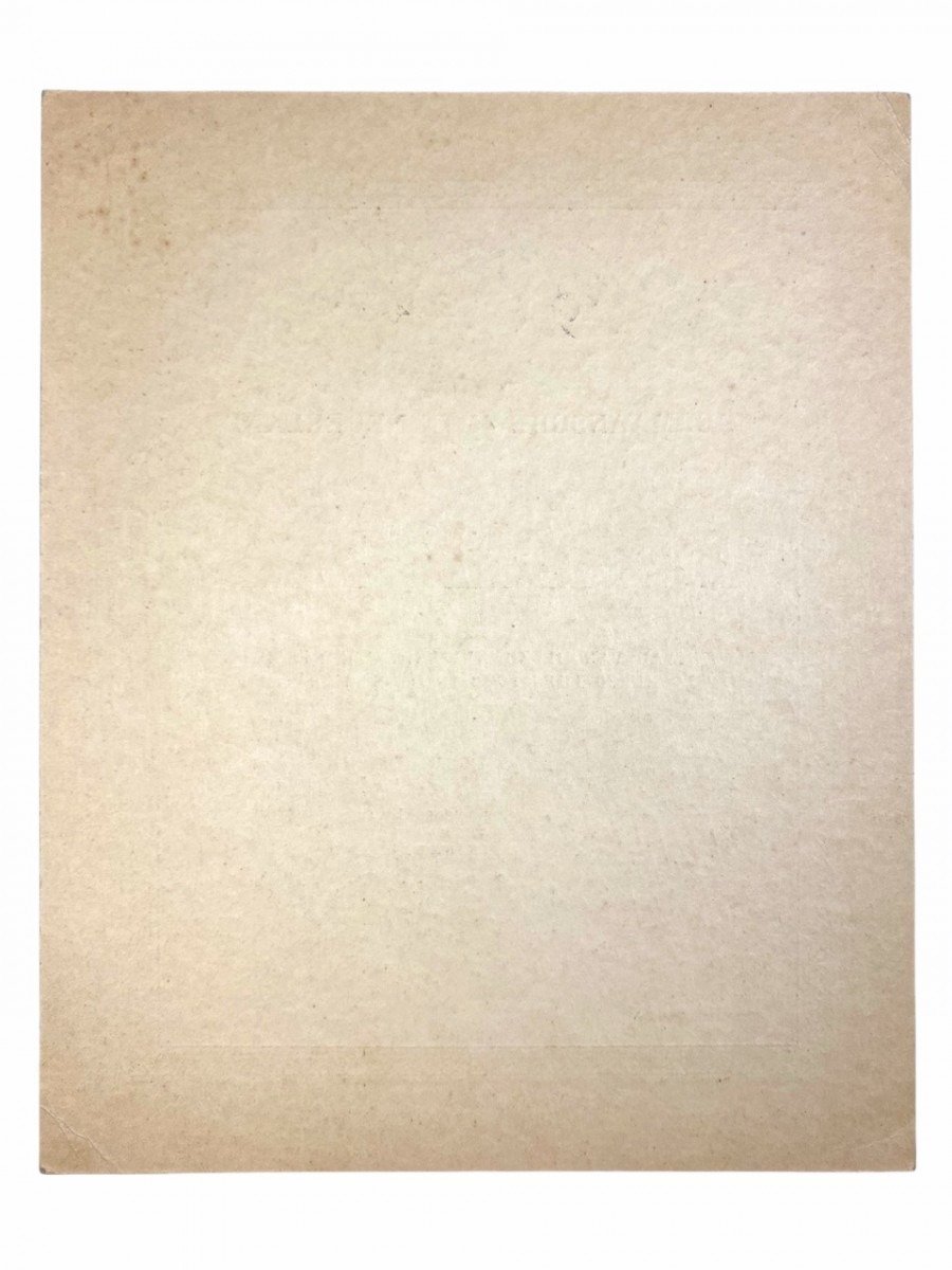 Original WWII Dutch Germaansche SS citation — image 7