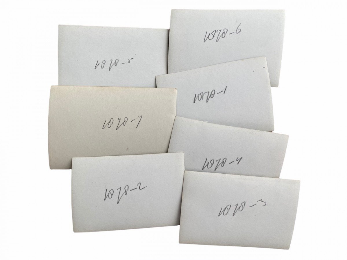 Original WWII Dutch NSB photo grouping – Lijfwacht Mussert with SS Leistungsrune — image 10