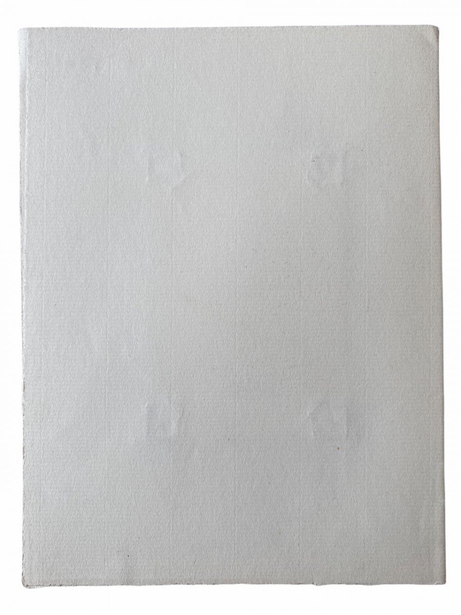 Original WWII Dutch NSB set Cornelis van Geelkerken — image 8