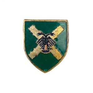 Original WWII Wallonie Jeunesse Légionnaire membership pin