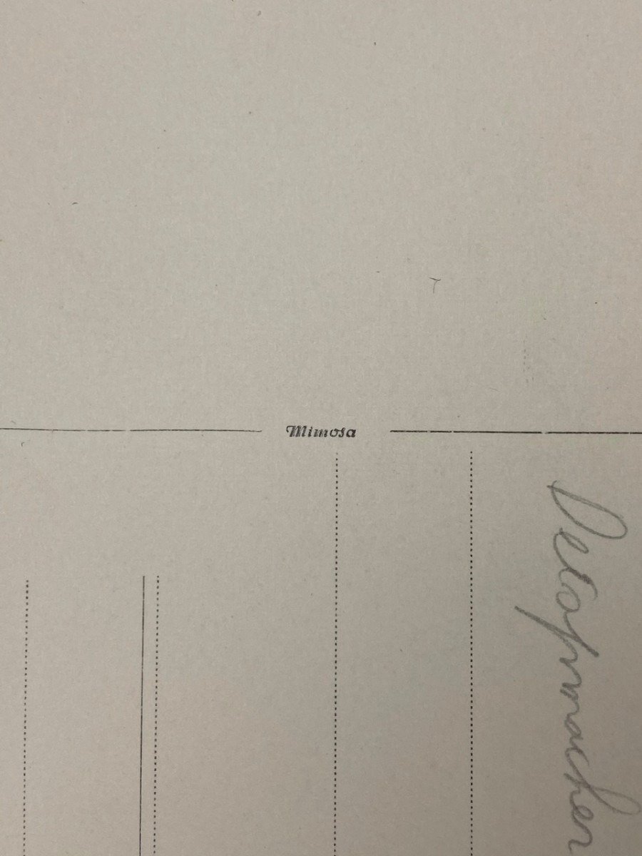 Original WWII Dutch NSKK portrait photo and negative — image 5