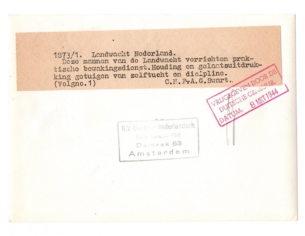 Original WWII Landwacht Nederland photo — image 2