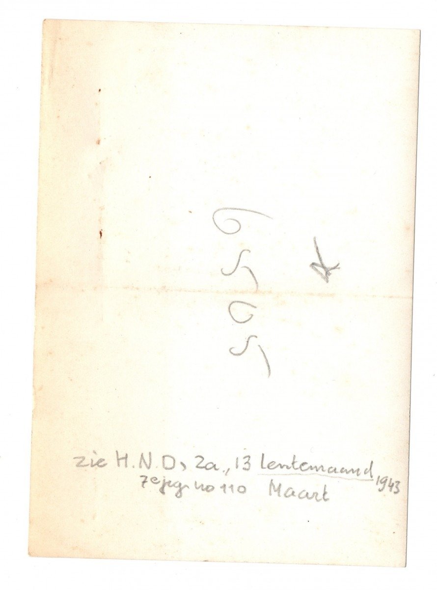 Original WWII Dutch NSB portrait photo — image 2