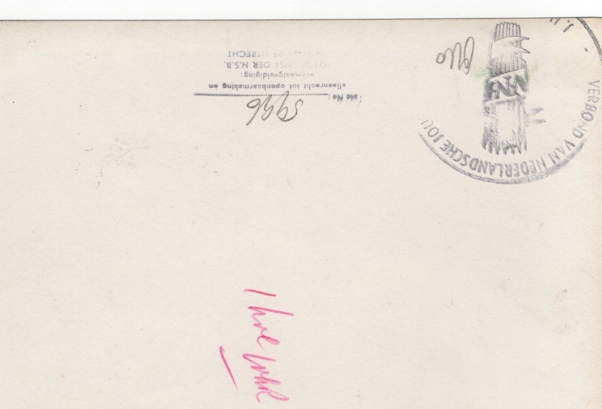 Original WWII Dutch NSB photo 'SS – Jeugdstorm – NSB' — image 2