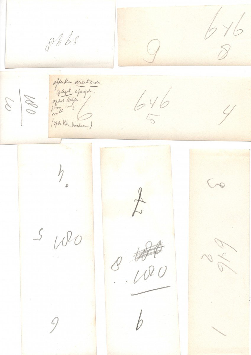 Original WWII Dutch NSB photo grouping – Ernst Voorhoeve — image 2