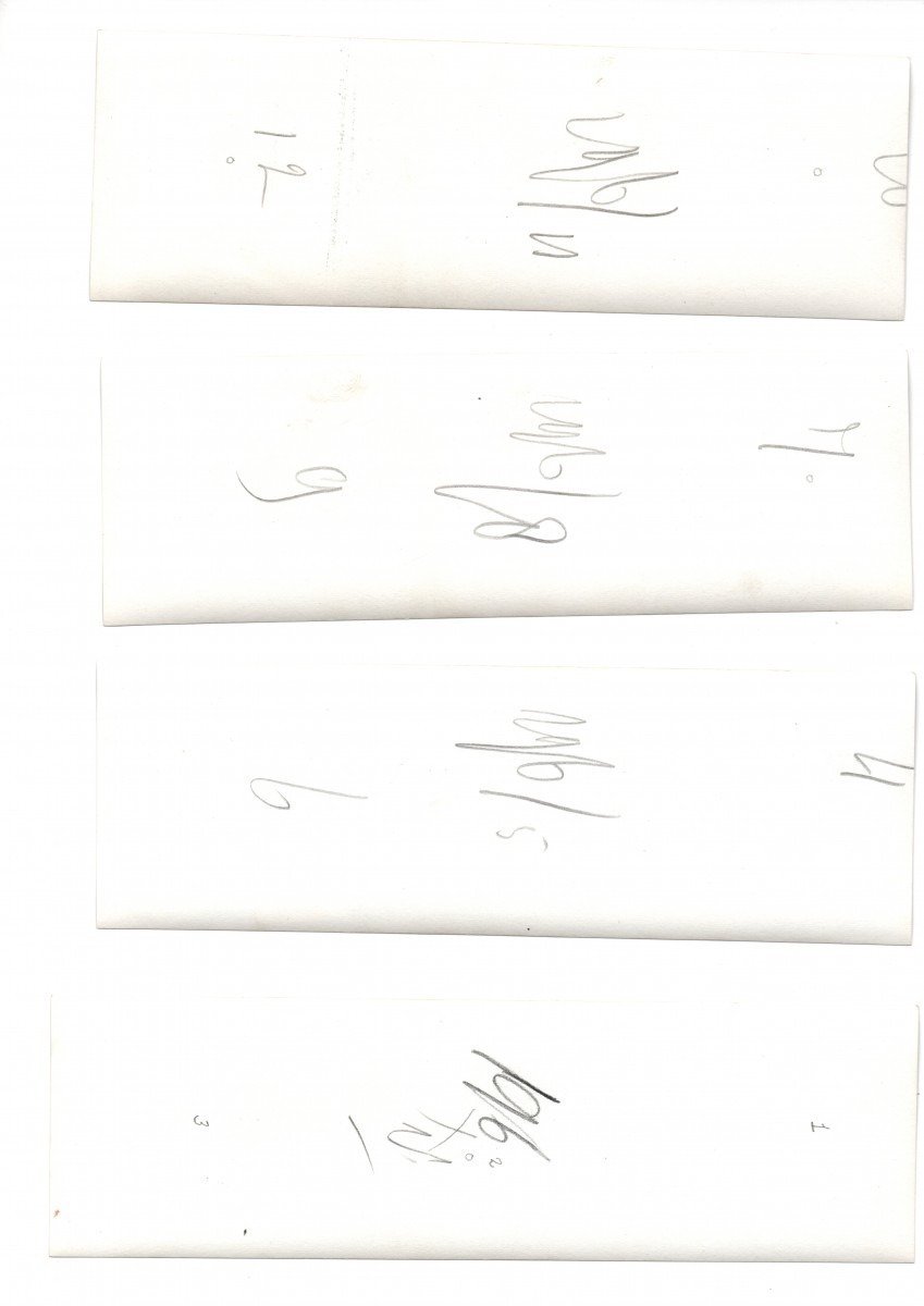 Original WWII Dutch NSB photo grouping – Anton Mussert — image 2