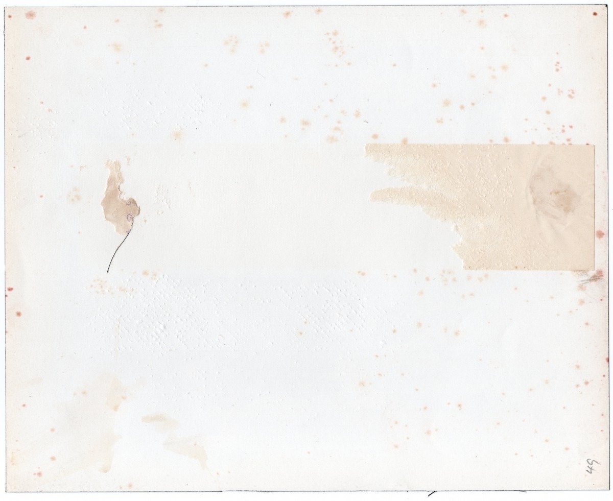 Original WWII British photo 'Canadians take German prisoners in Sicily (Italy)' — image 2