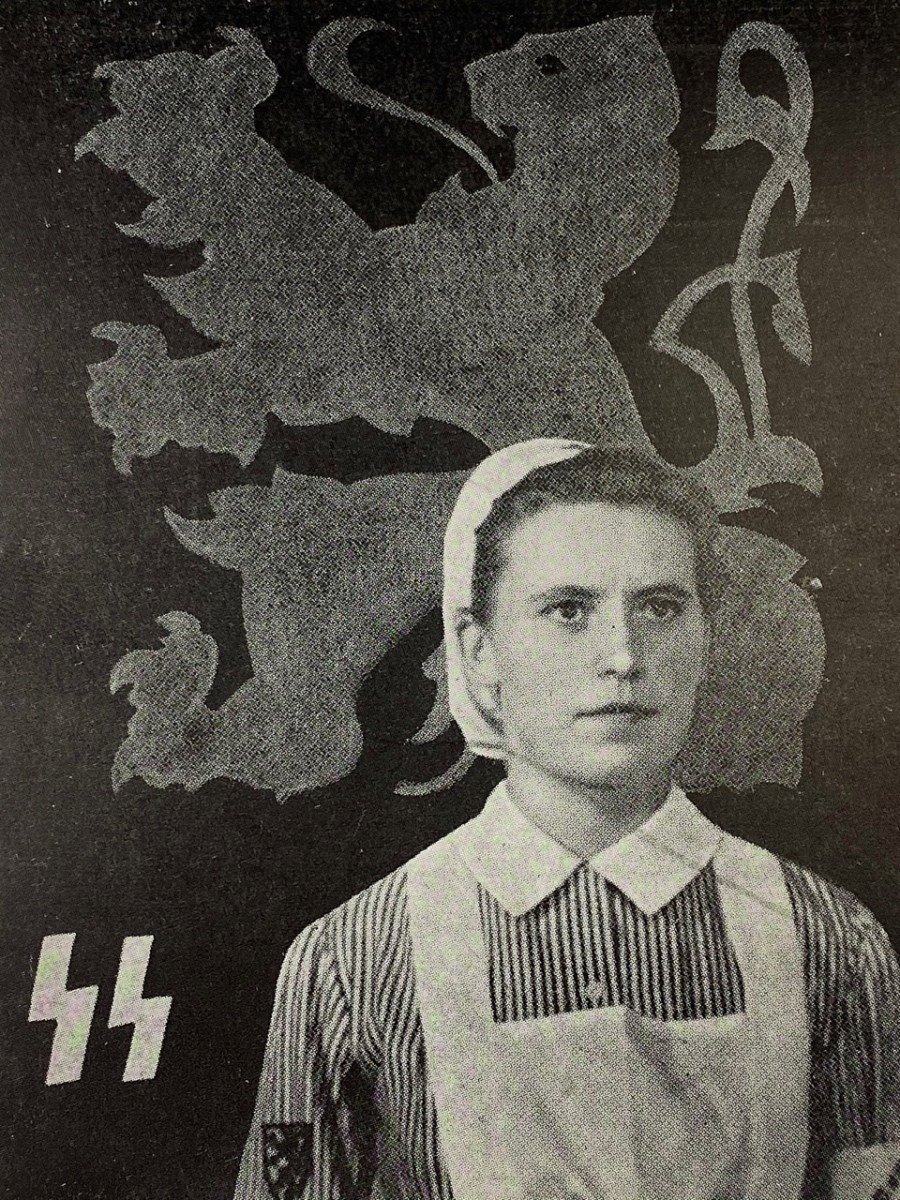 Original WWII Flemish Waffen-SS DRK post card — image 2