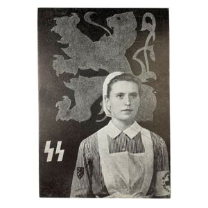 Original WWII Flemish Waffen-SS DRK post card