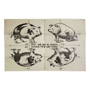 Original WWII Dutch resistance 'Where is the fifth pig?'