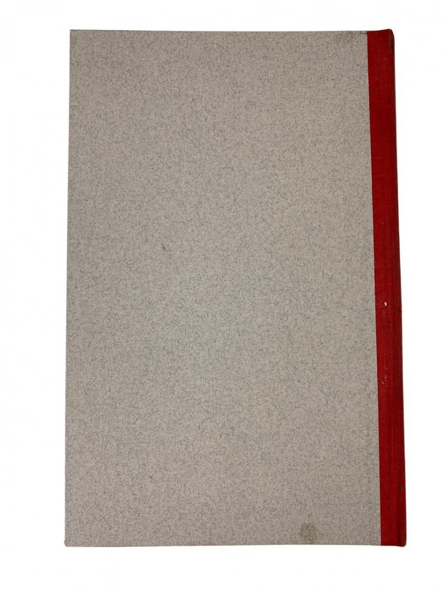 Original WWII Dutch collaboration book – Stuka's — image 10