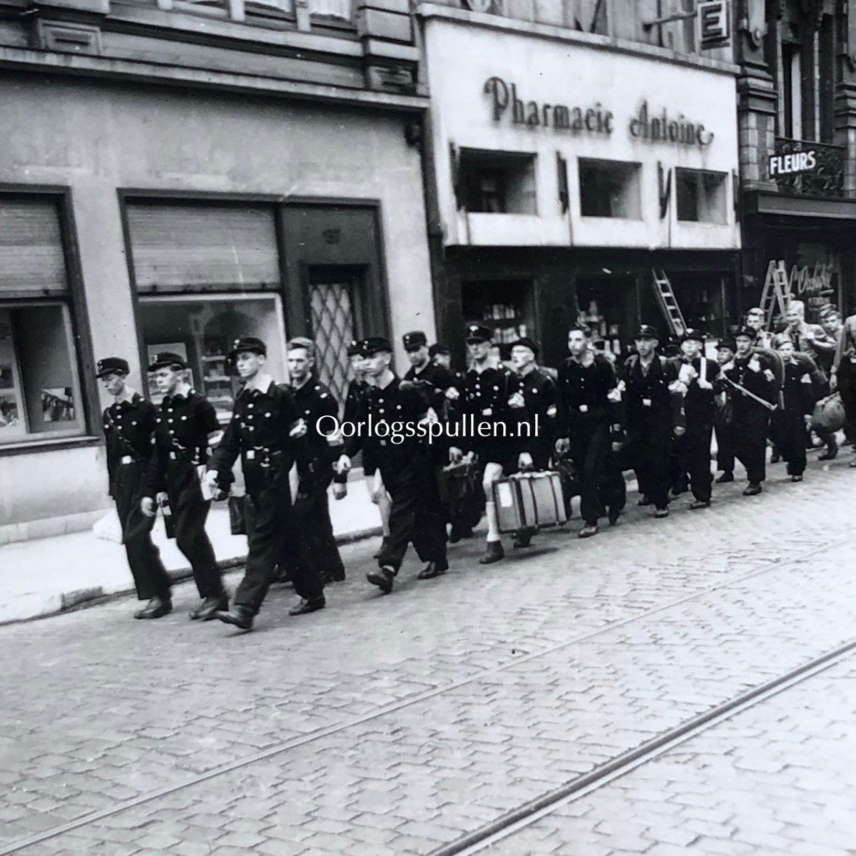 Original WWII Flemish Hitlerjugend photo grouping – Flemish HJ in Brussels — image 14