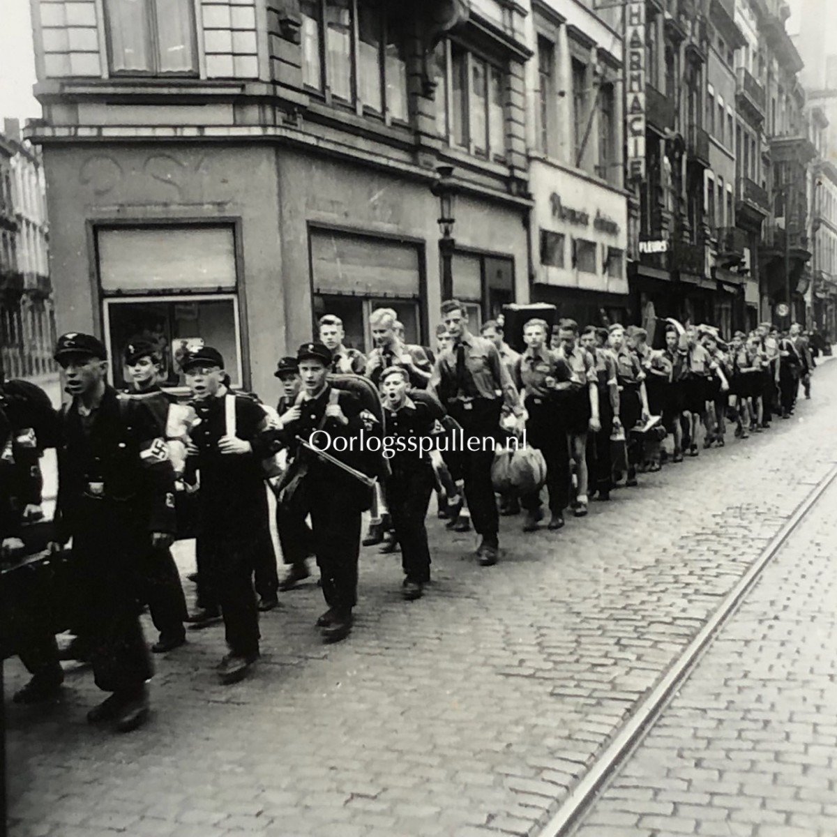 Original WWII Flemish Hitlerjugend photo grouping – Flemish HJ in Brussels — image 16