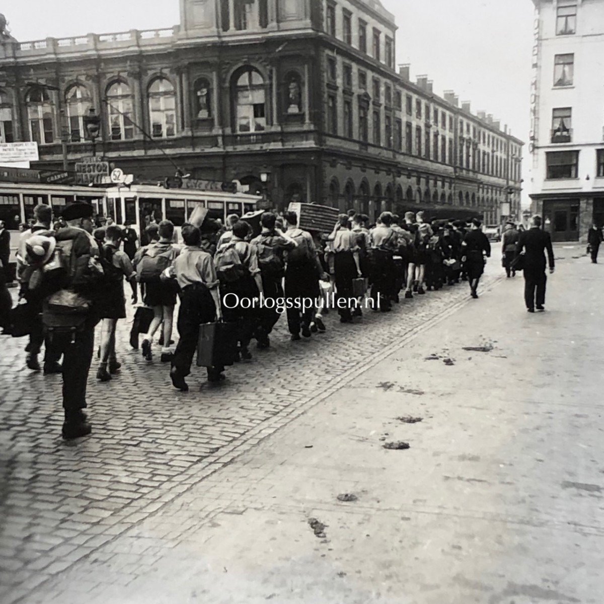 Original WWII Flemish Hitlerjugend photo grouping – Flemish HJ in Brussels — image 23