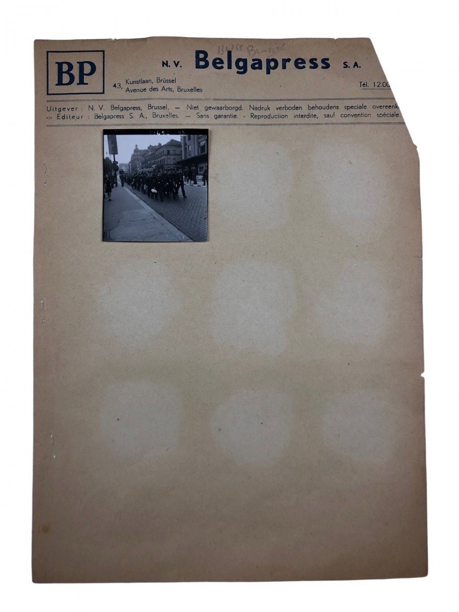 Original WWII Flemish Hitlerjugend photo grouping – Flemish HJ in Brussels — image 4