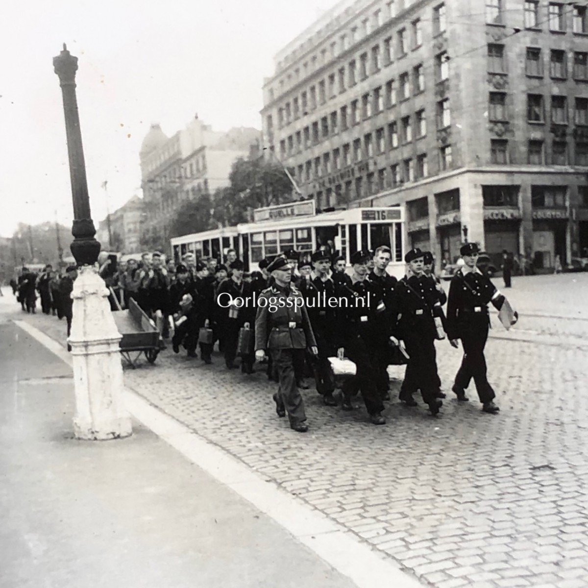 Original WWII Flemish Hitlerjugend photo grouping – Flemish HJ in Brussels — image 6