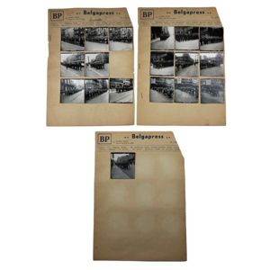 Original WWII Flemish Hitlerjugend photo grouping – Flemish HJ in …