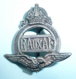 Royal Auxiliary Air Force (AAF) Mufti Lapel Badge - Ladies …