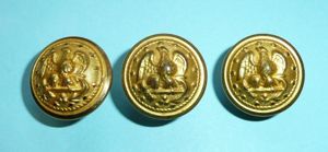 United States Navy (USN) Medium Pattern Gilt Buttons x 3